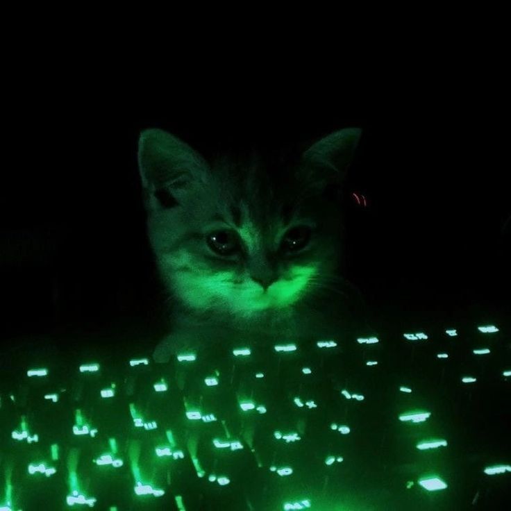 HACK$D BY Yar1ner